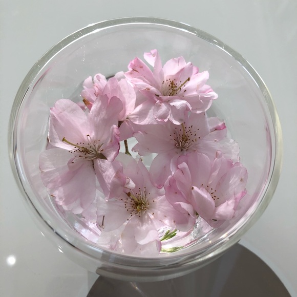 Meet your Posher, Emily - Picture 1 of 1